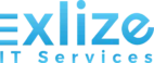 Exlize IT Services